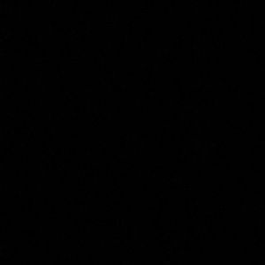 Meet your Posher, Ariana